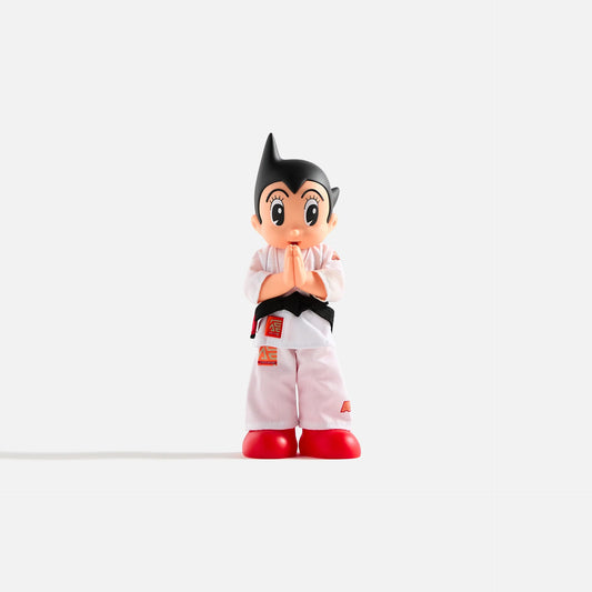 LT11 Astro Boy (Albino & Preto): Limited Edition Toyqube Vinyl Figure | Shop